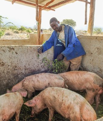 Ombeni uit Tanzania zorgt voor zijn varkens.