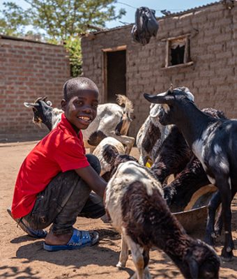 Jongen uit Tanzania geeft buiten zijn geiten te eten.