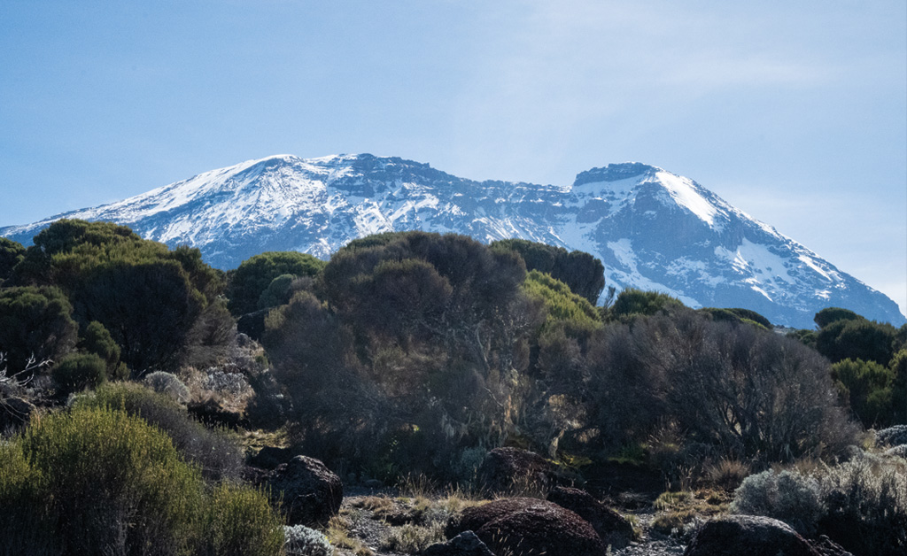 Impressie van de ondernemersreis naar de Kilimanjaro in 2024.