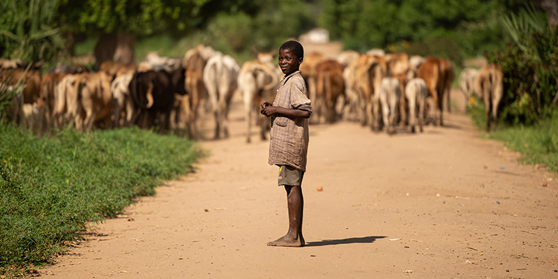 Kingsley uit Malawi staat op blote voeten op een weg, met een kudde geiten op de achtergrond.