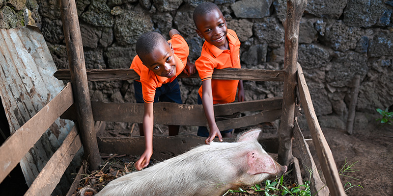 Aime en Aimable uit Rwanda staan bij het hok van hun varken.